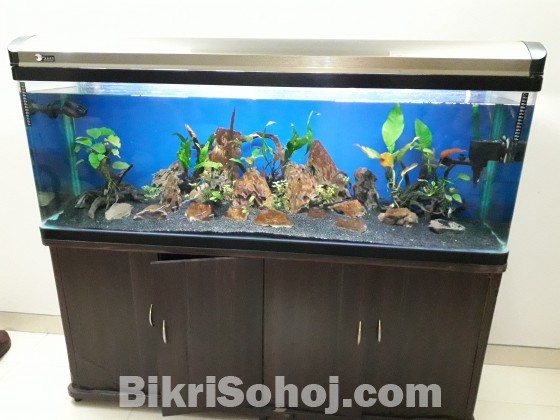 Fish Tank-Aquarium